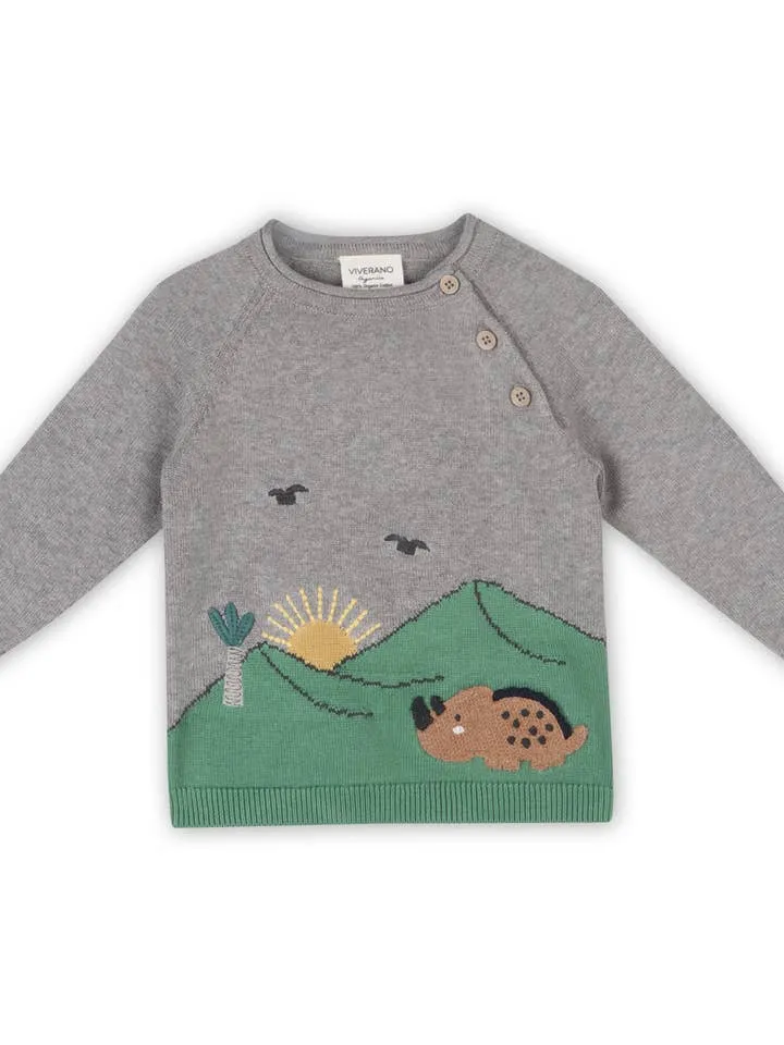 Dinosaur Jacquard Knit Baby Raglan Sweater