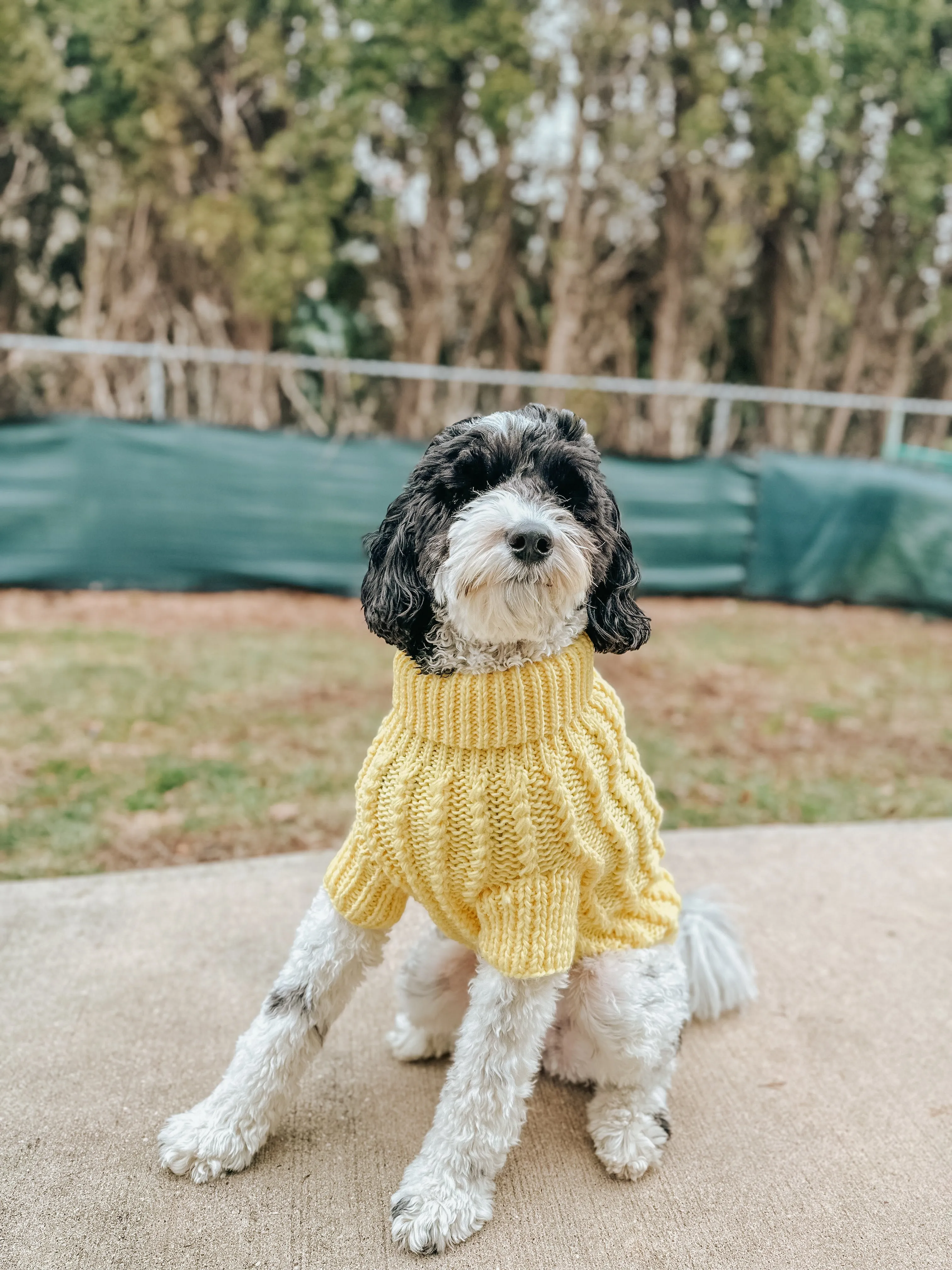 Dog Cable Knit Sweater - Yellow