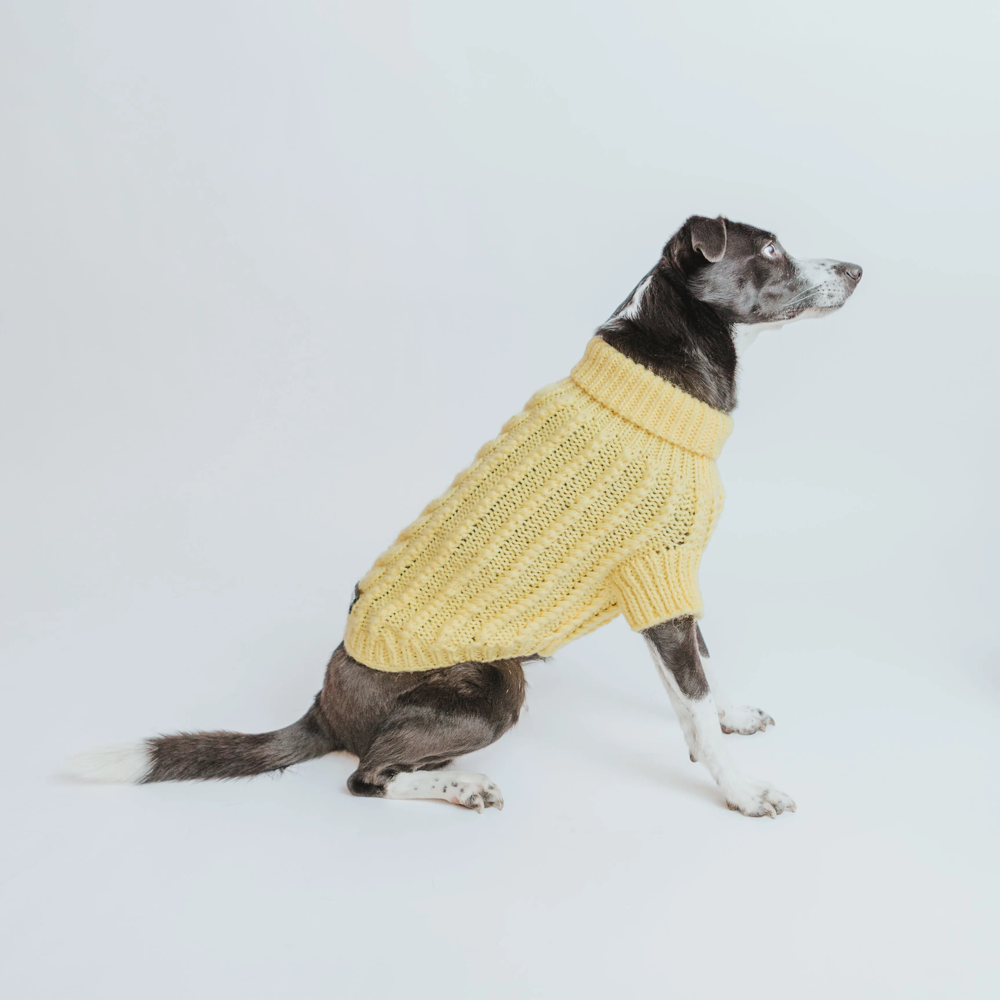 Dog Cable Knit Sweater - Yellow