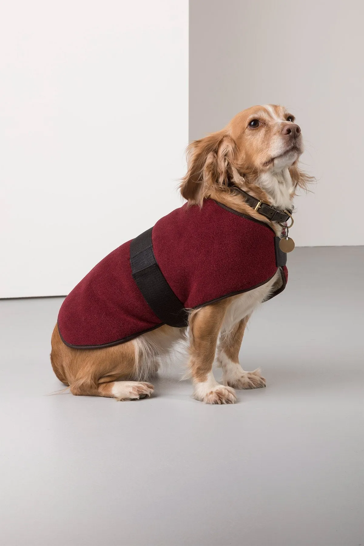 Fleece Dog Coat