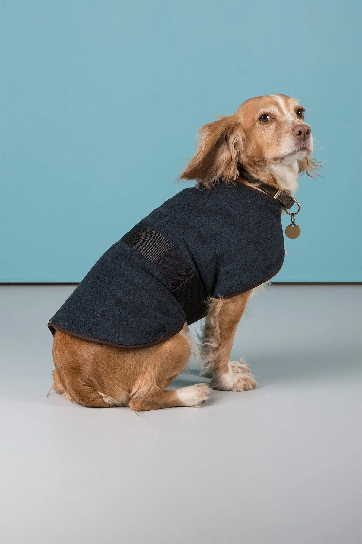 Fleece Dog Coat