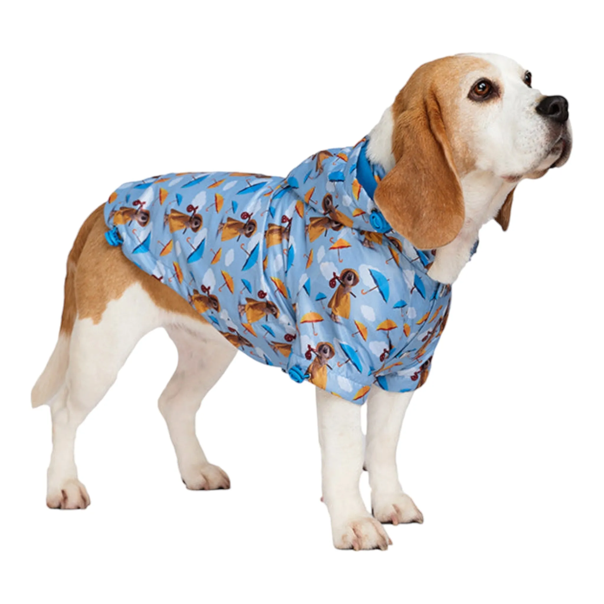 Gromit's Dog Raincoat