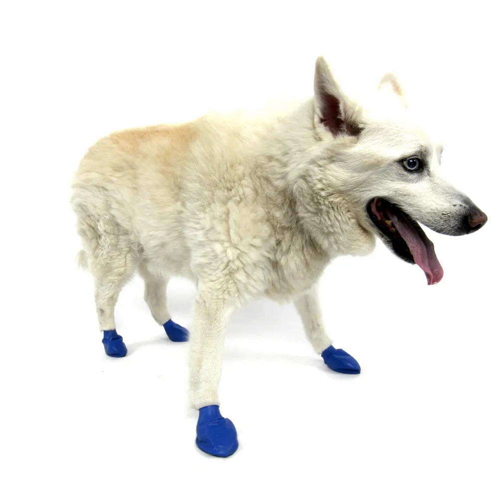 Protex PawZ Boots for Dogs (Blue)