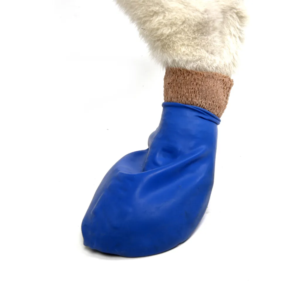 Protex PawZ Boots for Dogs (Blue)