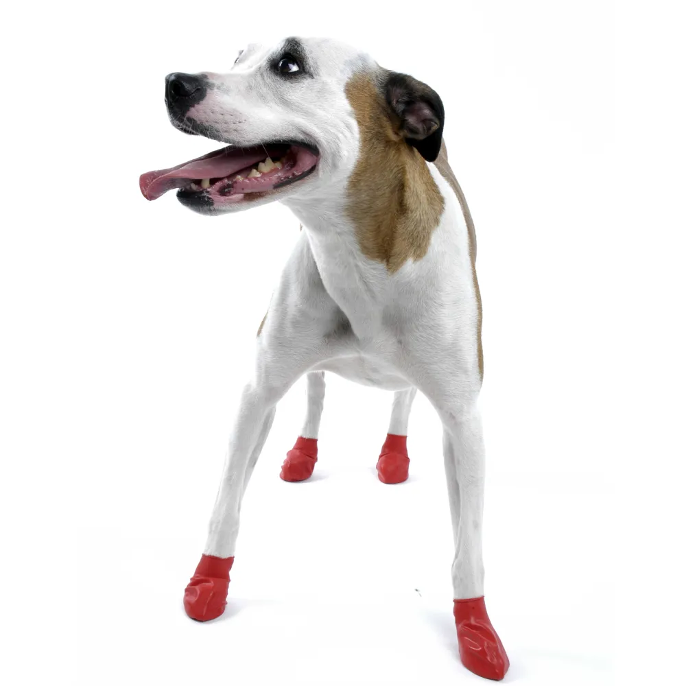 Protex PawZ Boots for Dogs (Red)